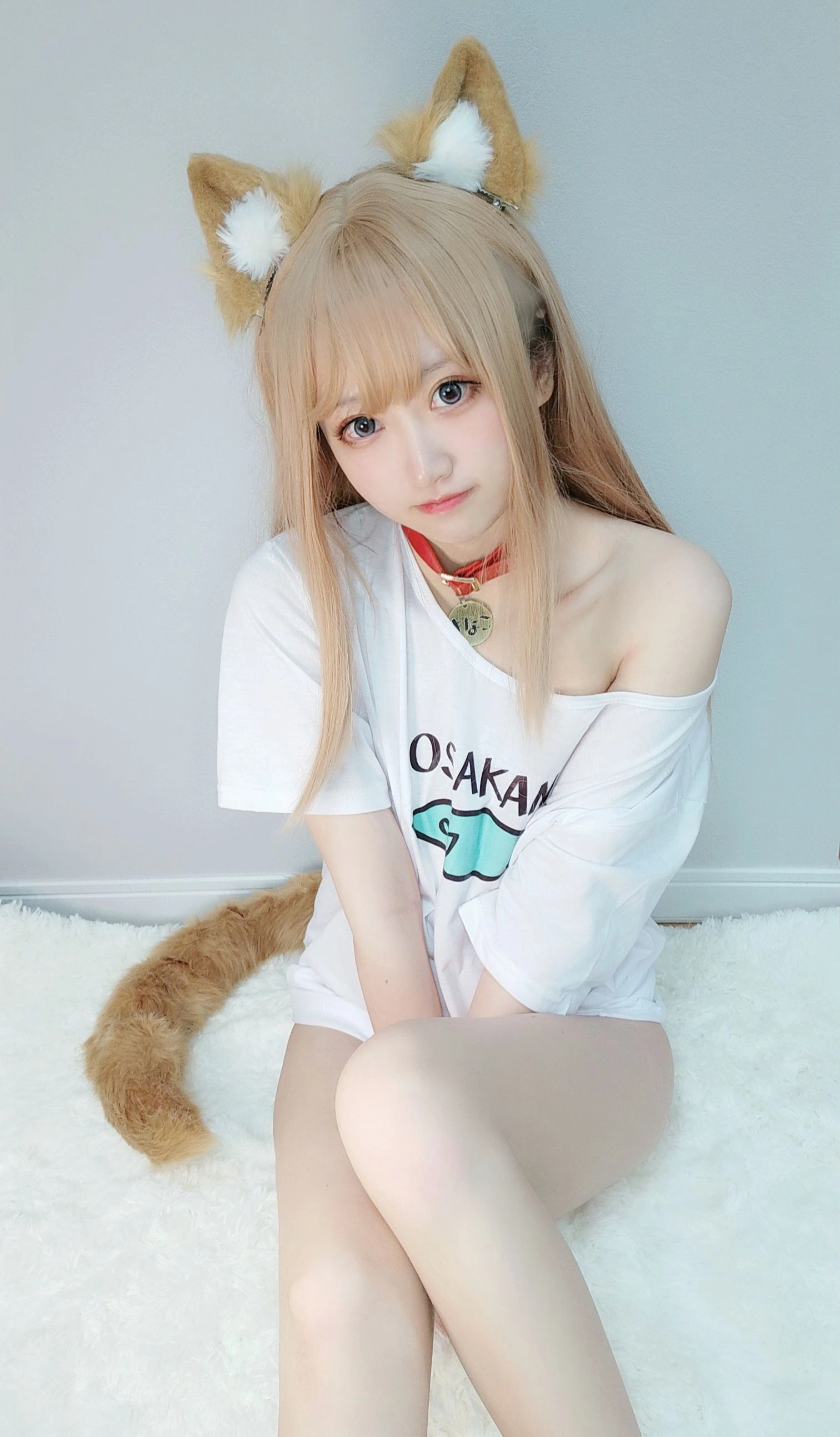 千阳(ちよ) - NO.01 40原设猫猫 3
